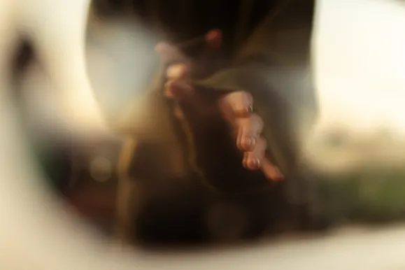 Kasyno Royal Slots Wsparcie